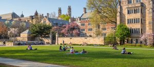 acceso universidad -Access USA